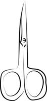 Scissors sketch, illustration, vector on white background.