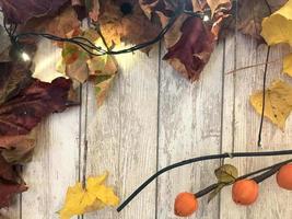 Frame and yellow red brown colorful natural autumn leaves, maple on the background of wooden boards. The background. Texture photo