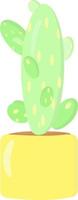 Cactus in pot, illustration, vector on white background.