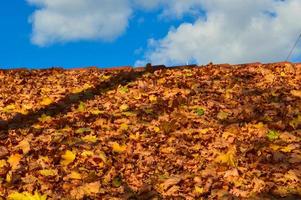 Beautiful sloping sloping tregolnaya roof of the house of red tiles covered with a layer of autumn yellow fallen leaves. The background photo