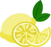 Lemons, illustration, vector on white background.