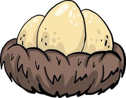 Eggs in a nest, illustration, vector on white background