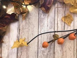 Frame and yellow red brown colorful natural autumn leaves, maple on the background of wooden boards. The background. Texture photo