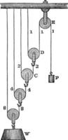 Compound Pulley, vintage illustration. vector