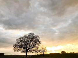 Landscape of a beautiful park and autumn nature with trees at sunset photo