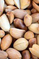 Peanut. A lot of small yellow nuts without peel. Background texture photo