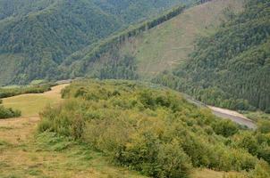 Fragment of the mountainous terrain in the Carpathians, Ukraine. The forest is forgiven by the reliefs of the Carpathian Mountains photo