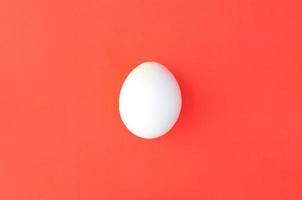 One white egg on a bright red background photo