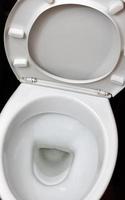 A photograph of a white ceramic toilet bowl in the dressing room or bathroom. Ceramic sanitary ware for correction of need photo