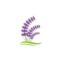 Lavender flower Vector icon illustration