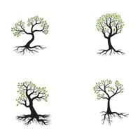 Logos of green Tree leaf ecology vector