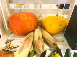 Big orange yellow pumpkin, zucchini and green corn in a wooden white box photo