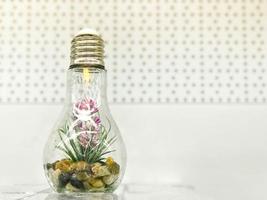 A small green organic plant flower grows inside a glass light bulb. Concept ecology, protection of the planet photo