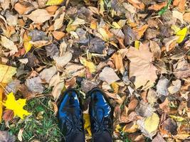 pies en hermosos zapatos de cuero negro liso y brillante sobre hojas de otoño naturales de color amarillo y rojo, marrón foto