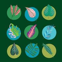 leaves foliage decoration round style icons set vector