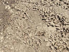 Texture of brown dry cracked flaky dirt and ground with sand. Background, texture photo