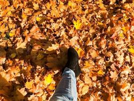 Female slender legs in jeans and boots, shoes against the background of yellow, dry, fallen autumn foliage. Multi-colored natural red and yellow leaves. The background photo