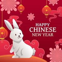 Chinese New Year of The Rabbit vector