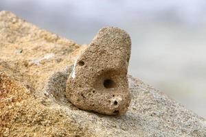 Stones in a city park by the sea in northern Israel photo