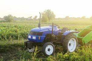 A farm blue tractor stands on the field. The use of machines in agriculture increases the speed and efficiency of work. Farming and farmland. Harvesting potatoes in autumn. Countryside. photo