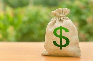 bolsa de dinero con símbolo de dólar en un fondo de naturaleza. negocios, presupuesto, transacciones financieras. atraer inversiones para el desarrollo y la modernización. préstamos y subsidios disponibles, apoyo del gobierno foto