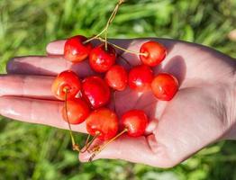 cherry in hand photo