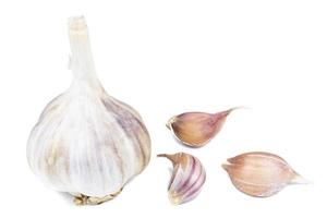 Garlic isolated on white background photo