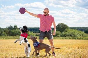 training dogs on the site photo