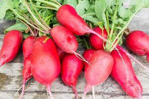 radish on a wooden photo