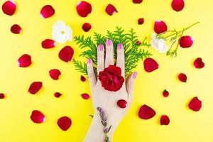 manos de belleza con flores de maquillaje foto