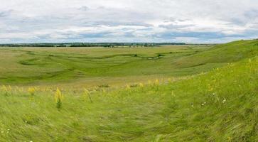 Panorama of a beautiful meadow photo