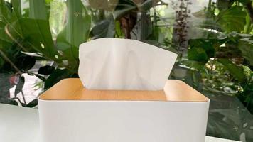 White tissue box, in the mirror room natural back trees photo