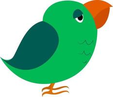 Green parrot, illustration, vector on white background.