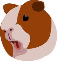 Guinea pig, illustration, vector on white background.