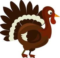 Brown turkey, illustration, vector on white background.