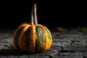 a small round ornamental pumpkin, with yellow and green colors, stands on cobblestones in front of a dark background. There is space for text photo