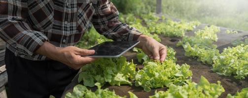 Farmer checking quality by tablet agriculture modern technology. Concept using modern technologies in agriculture. Man agronomist farmer with digital tablet computer. photo