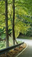 The beautiful countryside view with the road and mountains as background photo