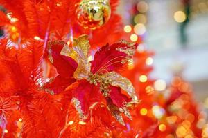 Christmas red flower and bell at red tree with led background photo