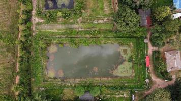 vista superior de la granja en tailandia. foto