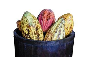 Isolated ripe cocoa fruit on wooden basket. photo