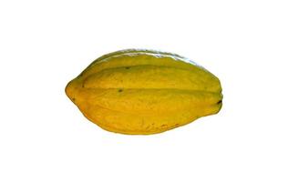Ripe cocoa fruit on cocoa tree which is nearly to be harvesting, soft and selective focus. photo