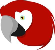 Ara parrot, illustration, vector on white background.