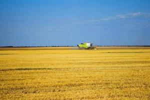 Kombain collects on the wheat crop. Agricultural machinery in the field. Grain harvest. photo