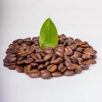 Roasted coffee beans and leaves isolated photo