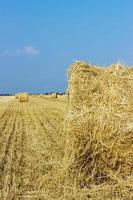 paisajes rurales de toscana, italia, europa, rollos de pajares en el campo. paisaje de granja de verano con pajar en el fondo de la hermosa puesta de sol, concepto de agricultura, concepto de cosecha foto