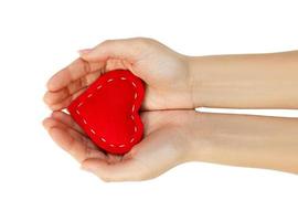 red heart in hands isolated on white background photo