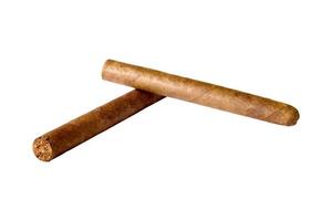 two cuban cigars closeup photo