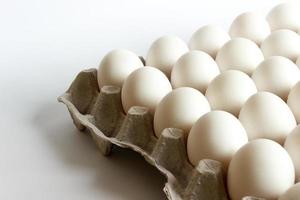 huevos en el paquete, huevos blancos en el paquete sobre fondo blanco foto