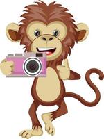 Monkey with camera, illustration, vector on white background.